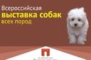 Всероссийская выставка собак