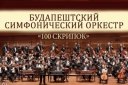 Будапештский симфонический оркестр