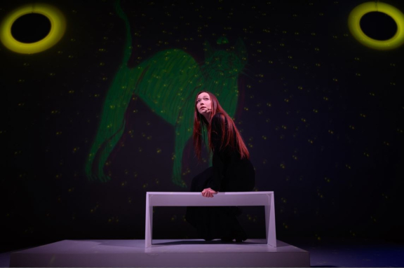 POV&colon;&Tcy;&iecy;&acy;&tcy;&rcy;&period; &Scy;&pcy;&iecy;&kcy;&tcy;&acy;&kcy;&lcy;&softcy; &laquo;&Zcy;&iecy;&lcy;&iecy;&ncy;&acy;&yacy; &kcy;&ocy;&shcy;&kcy;&acy;&raquo;