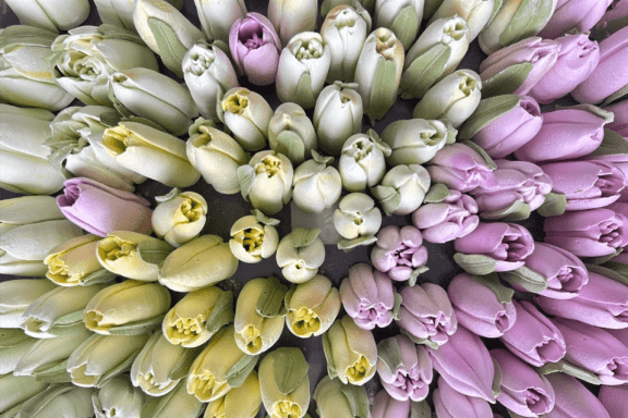 &SHcy;&kcy;&ocy;&lcy;&acy; &Kcy;&ocy;&ncy;&dcy;&icy;&tcy;&iecy;&rcy;&ocy;&vcy; Felicia&period; &Mcy;&acy;&scy;&tcy;&iecy;&rcy;-&kcy;&lcy;&acy;&scy;&scy; &laquo;&Zcy;&iecy;&fcy;&icy;&rcy;&ncy;&acy;&yacy; &fcy;&lcy;&ocy;&rcy;&icy;&scy;&tcy;&icy;&kcy;&acy;&raquo;