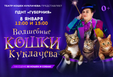 Волшебные кошки Куклачева