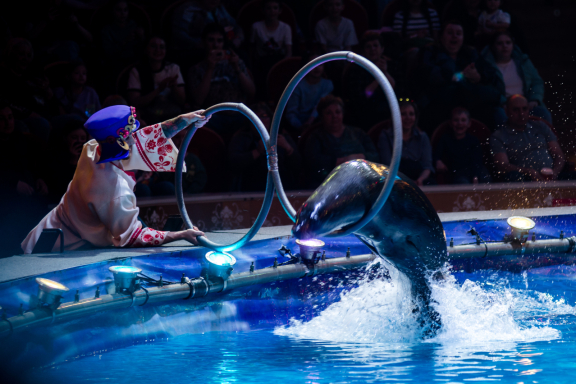 &TScy;&icy;&rcy;&kcy; &ncy;&acy; &vcy;&ocy;&dcy;&iecy; &laquo;&TScy;&acy;&rcy;&scy;&tcy;&vcy;&ocy; &fcy;&ocy;&ncy;&tcy;&acy;&ncy;&ocy;&vcy;&raquo;