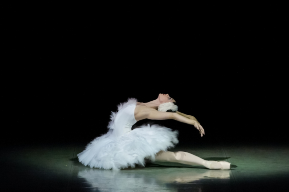 Балеты Михаила Фокина