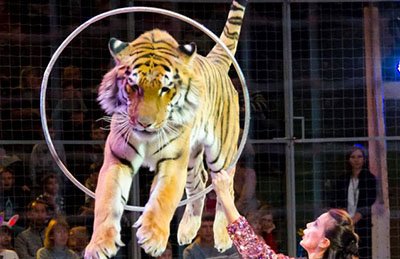 &TScy;&icy;&rcy;&kcy; &ucy;&dcy;&icy;&vcy;&icy;&tcy;&iecy;&lcy;&softcy;&ncy;&ycy;&khcy; &zcy;&vcy;&iecy;&rcy;&iecy;&jcy;