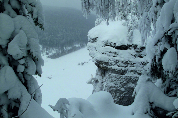 &Pcy;&ocy;&lcy;&yucy;&dcy; &icy; &Vcy;&iecy;&tcy;&lcy;&acy;&ncy; &zcy;&acy; &ocy;&dcy;&icy;&ncy; &dcy;&iecy;&ncy;&softcy;
