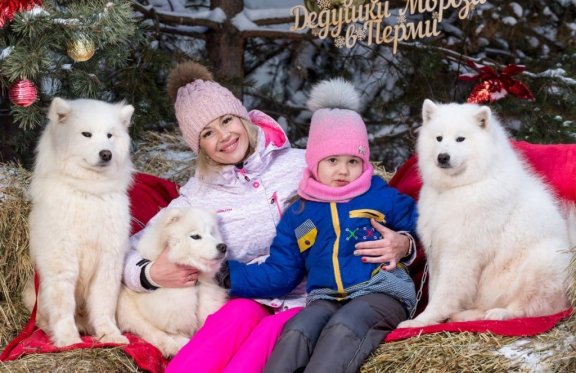 &Rcy;&iecy;&zcy;&icy;&dcy;&iecy;&ncy;&tscy;&icy;&yacy; &Dcy;&iecy;&dcy;&ucy;&shcy;&kcy;&icy; &Mcy;&ocy;&rcy;&ocy;&zcy;&acy; &vcy; &Pcy;&iecy;&rcy;&mcy;&icy;&excl; &Ncy;&ocy;&vcy;&ocy;&gcy;&ocy;&dcy;&ncy;&yacy;&yacy; &scy;&kcy;&acy;&zcy;&kcy;&acy;