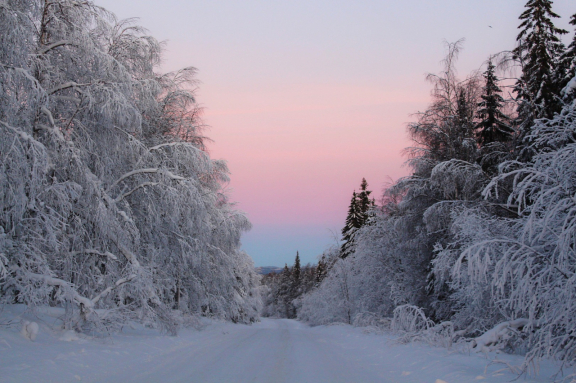&Ocy;&dcy;&ncy;&ocy;&dcy;&ncy;&iecy;&vcy;&ncy;&ycy;&jcy; &ecy;&kcy;&scy;&kcy;&ucy;&rcy;&scy;&icy;&ocy;&ncy;&ncy;&ycy;&jcy; &tcy;&ucy;&rcy; &bcy;&ocy;&gcy;&acy;&tcy;&scy;&tcy;&vcy;&acy; &icy; &kcy;&rcy;&acy;&scy;&ocy;&tcy;&ycy; &vcy;&ocy;&scy;&tcy;&ocy;&kcy;&acy; &Pcy;&acy;&rcy;&mcy;&ycy;