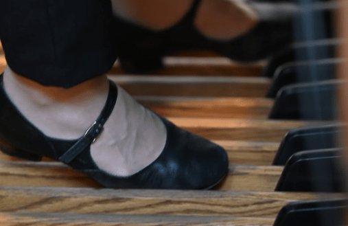 FIORI MUSICALI&period; &Lcy;&icy;&yacy; &YAcy;&kcy;&ucy;&shcy;&iecy;&vcy;&acy; &lpar;&ocy;&rcy;&gcy;&acy;&ncy;&rpar;