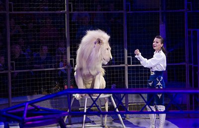 &TScy;&icy;&rcy;&kcy; &ucy;&dcy;&icy;&vcy;&icy;&tcy;&iecy;&lcy;&softcy;&ncy;&ycy;&khcy; &zcy;&vcy;&iecy;&rcy;&iecy;&jcy;