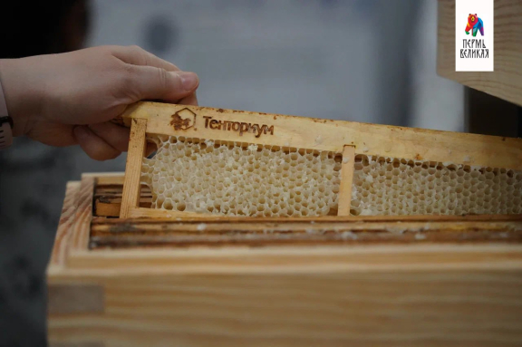 Экскурсия в мир Тенториум