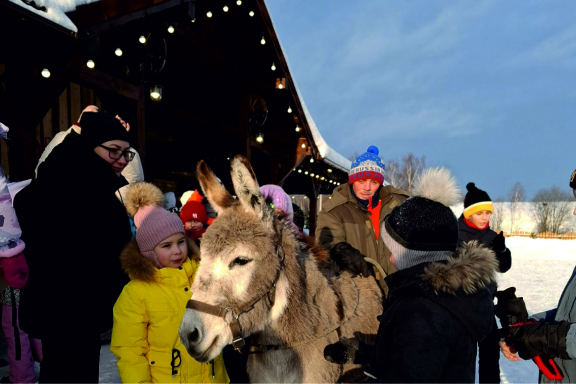 Новый год в конном клубе