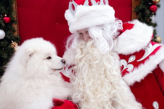 &Gcy;&lcy;&acy;&vcy;&ncy;&acy;&yacy; &rcy;&iecy;&zcy;&icy;&dcy;&iecy;&ncy;&tscy;&icy;&yacy; &Dcy;&iecy;&dcy;&ucy;&shcy;&kcy;&icy; &Mcy;&ocy;&rcy;&ocy;&zcy;&acy; &vcy; &Pcy;&iecy;&rcy;&mcy;&icy;