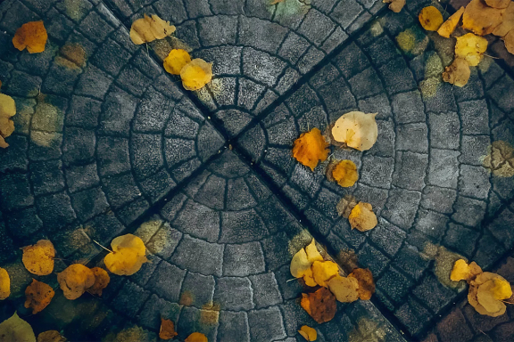 Late Night Concert «Времена года»