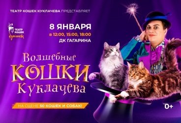 &Vcy;&ocy;&lcy;&shcy;&iecy;&bcy;&ncy;&ycy;&iecy; &kcy;&ocy;&shcy;&kcy;&icy; &Kcy;&ucy;&kcy;&lcy;&acy;&chcy;&iecy;&vcy;&acy;
