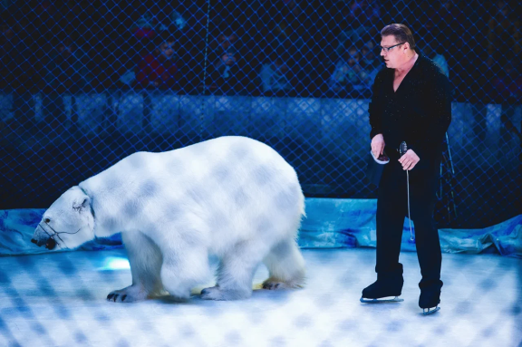 &TScy;&icy;&rcy;&kcy; &ncy;&acy; &lcy;&softcy;&dcy;&ucy; &Acy;&jcy;&scy;&bcy;&iecy;&rcy;&gcy;