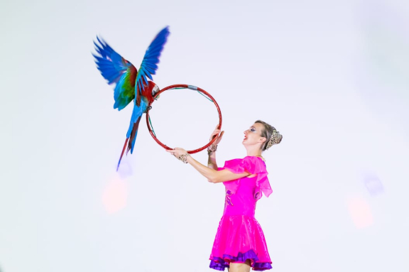 &SHcy;&ocy;&ucy; &kcy;&acy;&scy;&kcy;&acy;&dcy;&iecy;&rcy;&ocy;&vcy;