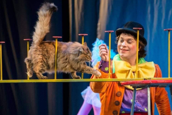 Волшебные кошки Куклачева