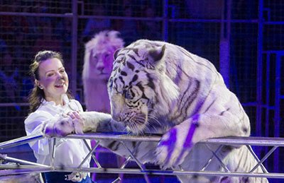 &TScy;&icy;&rcy;&kcy; &ucy;&dcy;&icy;&vcy;&icy;&tcy;&iecy;&lcy;&softcy;&ncy;&ycy;&khcy; &zcy;&vcy;&iecy;&rcy;&iecy;&jcy;