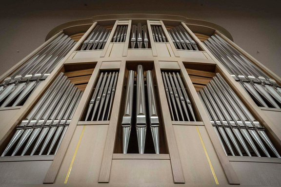 &Icy;&gcy;&rcy;&acy;&yucy;&tcy; &mcy;&ocy;&lcy;&ocy;&dcy;&ycy;&iecy; &ocy;&rcy;&gcy;&acy;&ncy;&icy;&scy;&tcy;&ycy;