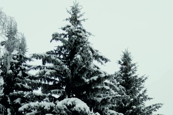 &Ocy; &lcy;&yucy;&bcy;&vcy;&icy; &ocy;&tcy; &Dcy;&iecy;&vcy;&chcy;&acy;&tcy;