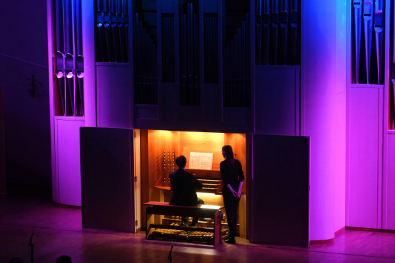 В мире животных