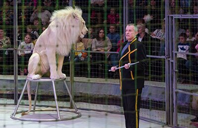 &TScy;&icy;&rcy;&kcy; &ucy;&dcy;&icy;&vcy;&icy;&tcy;&iecy;&lcy;&softcy;&ncy;&ycy;&khcy; &zcy;&vcy;&iecy;&rcy;&iecy;&jcy;