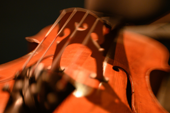 &Ecy;&lcy;&gcy;&acy;&rcy; &sol; &Scy;&icy;&bcy;&iecy;&lcy;&icy;&ucy;&scy;