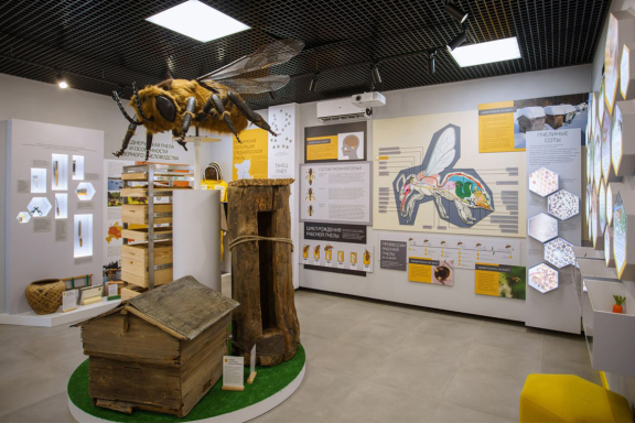 &Ecy;&kcy;&scy;&kcy;&ucy;&rcy;&scy;&icy;&yacy; &vcy; &pcy;&iecy;&rcy;&vcy;&ycy;&jcy; &vcy; &Rcy;&ocy;&scy;&scy;&icy;&icy; &mcy;&ucy;&zcy;&iecy;&jcy; &scy;&iecy;&vcy;&iecy;&rcy;&ncy;&ocy;&gcy;&ocy; &pcy;&chcy;&iecy;&lcy;&ocy;&vcy;&ocy;&dcy;&scy;&tcy;&vcy;&acy;