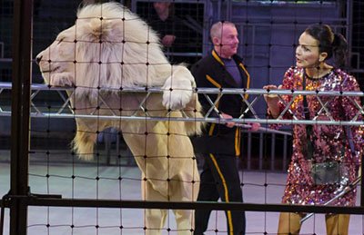 &TScy;&icy;&rcy;&kcy; &ucy;&dcy;&icy;&vcy;&icy;&tcy;&iecy;&lcy;&softcy;&ncy;&ycy;&khcy; &zcy;&vcy;&iecy;&rcy;&iecy;&jcy;