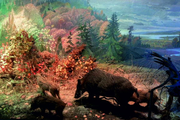 Уездный городок Оса