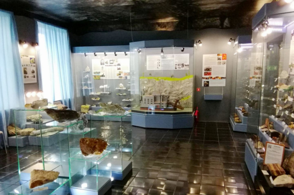 &Ocy;&dcy;&ncy;&ocy;&dcy;&ncy;&iecy;&vcy;&ncy;&ycy;&jcy; &ecy;&kcy;&scy;&kcy;&ucy;&rcy;&scy;&icy;&ocy;&ncy;&ncy;&ycy;&jcy; &tcy;&ucy;&rcy; &bcy;&ocy;&gcy;&acy;&tcy;&scy;&tcy;&vcy;&acy; &icy; &kcy;&rcy;&acy;&scy;&ocy;&tcy;&ycy; &vcy;&ocy;&scy;&tcy;&ocy;&kcy;&acy; &Pcy;&acy;&rcy;&mcy;&ycy;