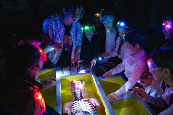 Вселенная 25