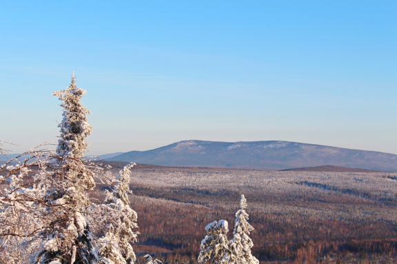 &Ocy;&dcy;&ncy;&ocy;&dcy;&ncy;&iecy;&vcy;&ncy;&ycy;&jcy; &ecy;&kcy;&scy;&kcy;&ucy;&rcy;&scy;&icy;&ocy;&ncy;&ncy;&ycy;&jcy; &tcy;&ucy;&rcy; &bcy;&ocy;&gcy;&acy;&tcy;&scy;&tcy;&vcy;&acy; &icy; &kcy;&rcy;&acy;&scy;&ocy;&tcy;&ycy; &vcy;&ocy;&scy;&tcy;&ocy;&kcy;&acy; &Pcy;&acy;&rcy;&mcy;&ycy;