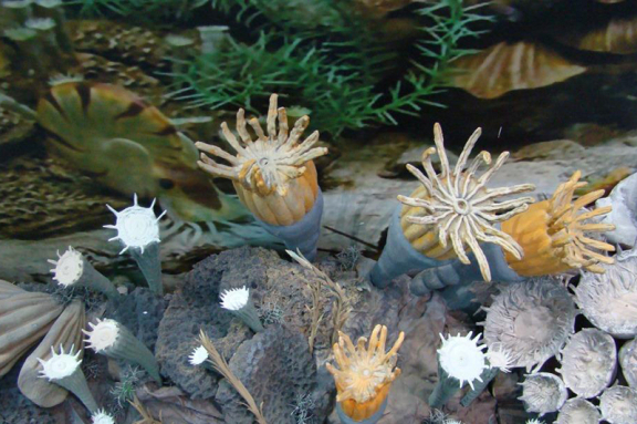 &Ocy;&dcy;&ncy;&ocy;&dcy;&ncy;&iecy;&vcy;&ncy;&ycy;&jcy; &ecy;&kcy;&scy;&kcy;&ucy;&rcy;&scy;&icy;&ocy;&ncy;&ncy;&ycy;&jcy; &tcy;&ucy;&rcy; &bcy;&ocy;&gcy;&acy;&tcy;&scy;&tcy;&vcy;&acy; &icy; &kcy;&rcy;&acy;&scy;&ocy;&tcy;&ycy; &vcy;&ocy;&scy;&tcy;&ocy;&kcy;&acy; &Pcy;&acy;&rcy;&mcy;&ycy;